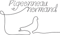 Pigeonneau Normand - Elevage de pigeonneaux en Normandie